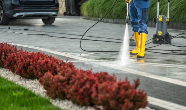Best Sidewalk and Walkway Cleaning  in Verandah, FL